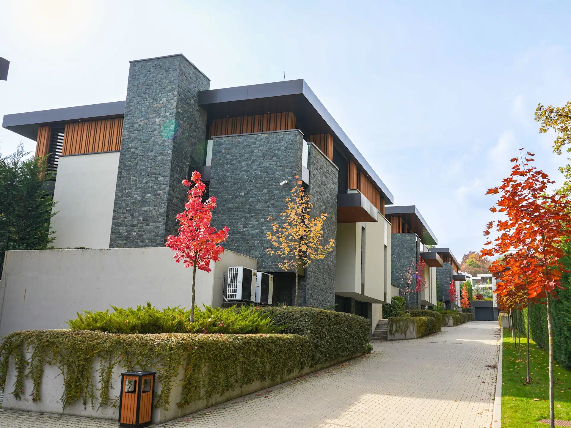 Artefino forest hills